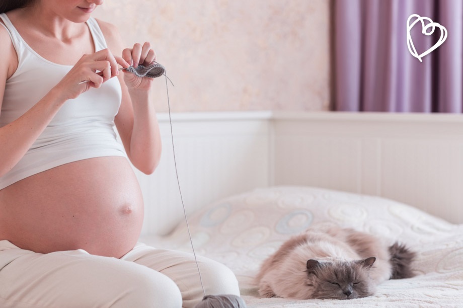 Mujeres embarazadas conviviendo con gatos: &iquest;qu&eacute; pasa con la toxoplasmosis?