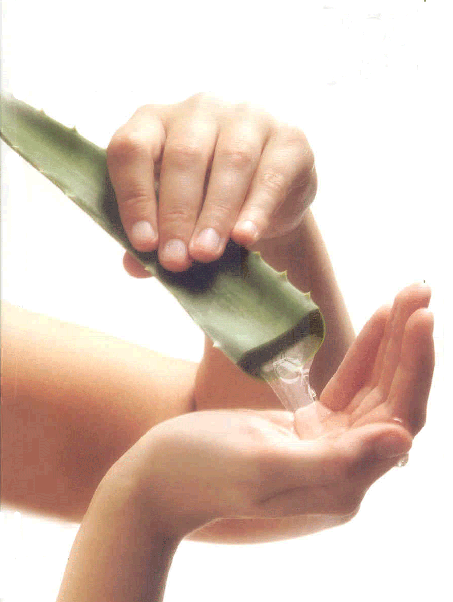 Beneficios del Aloe Vera para la salud