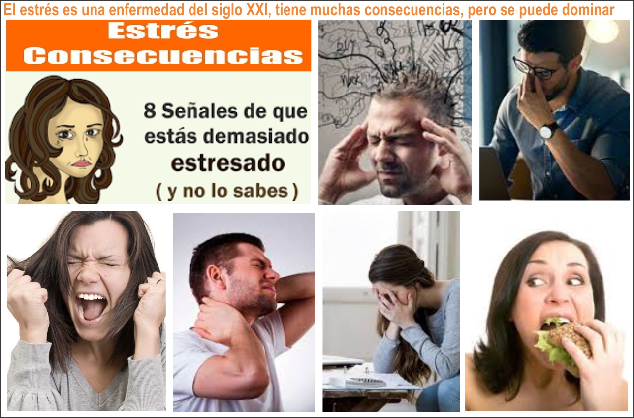 El estr&eacute;s, enfermedad del siglo XXI, 8 se&ntilde;ales que dicen est&aacute;r demasiado estresado y no lo sabes