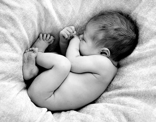 Aborto legal y evicci&oacute;n