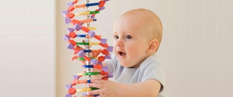 EDUCACION, CONOCER A TU HIJO DESDE LA GENETICA