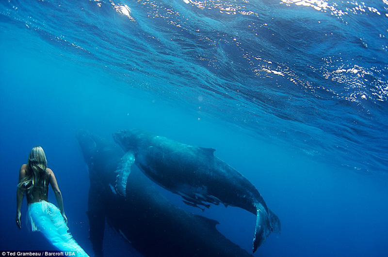 "&iquest;Este verano que queres ser: sirena o ballena?" 