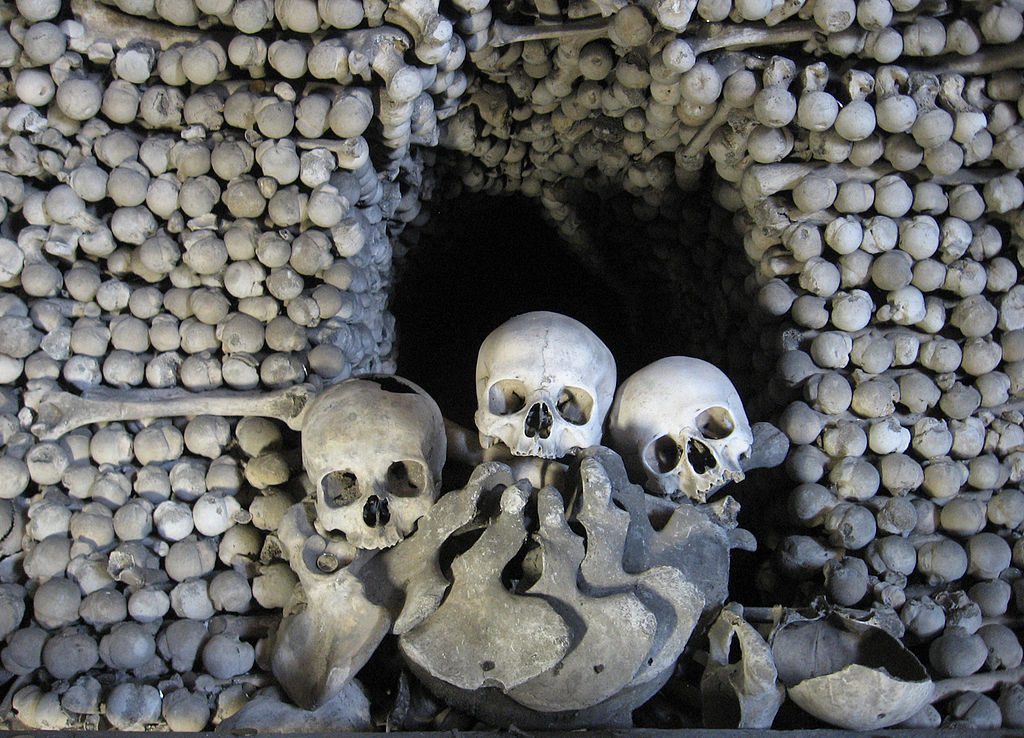 Tanatoturismo.Turismo de terror