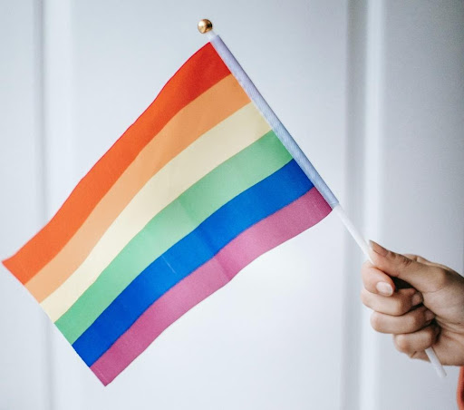 Homosexualidad, mitos y realidades que rodean el tema