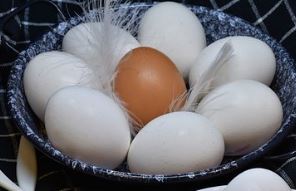 La importancia de alimentarse bien en prote&iacute;nas