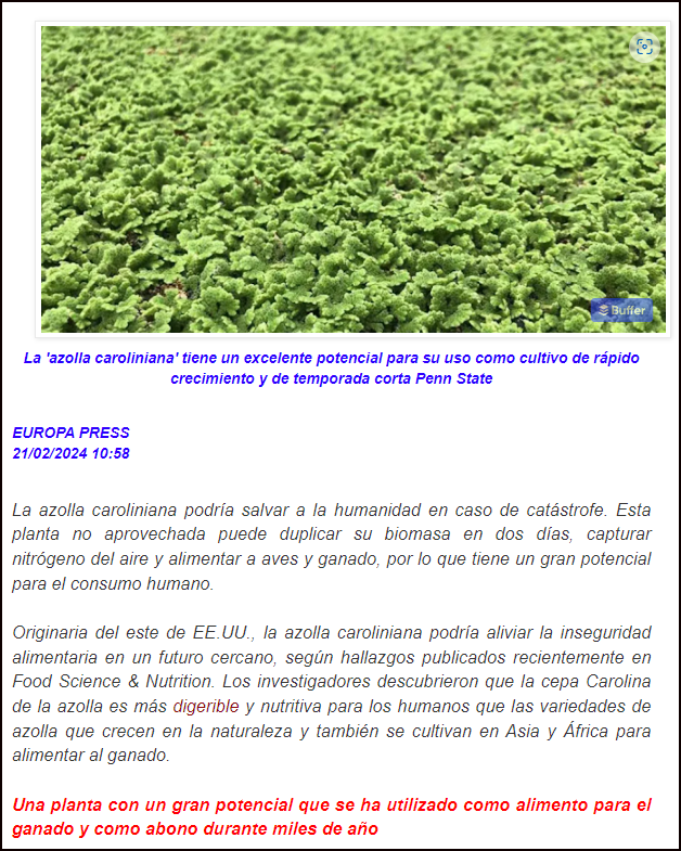  Investigaci&oacute;n que afirma que una planta acu&aacute;tica puede ser la salvaci&oacute;n de la humanidad