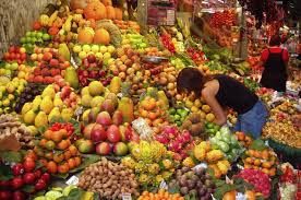 EDUCACION: SOMOS DE NATURALEZA FRUGIVORA, NO CARNIVORO NI RUMIENTE