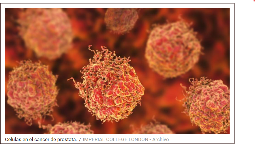 La melatonina declarada como "asesina inteligente" para combatir el c&aacute;ncer