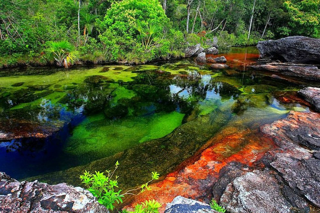 El r&iacute;o de los cinco colores, una de las maravillas naturales m&aacute;s hermosas del mundo