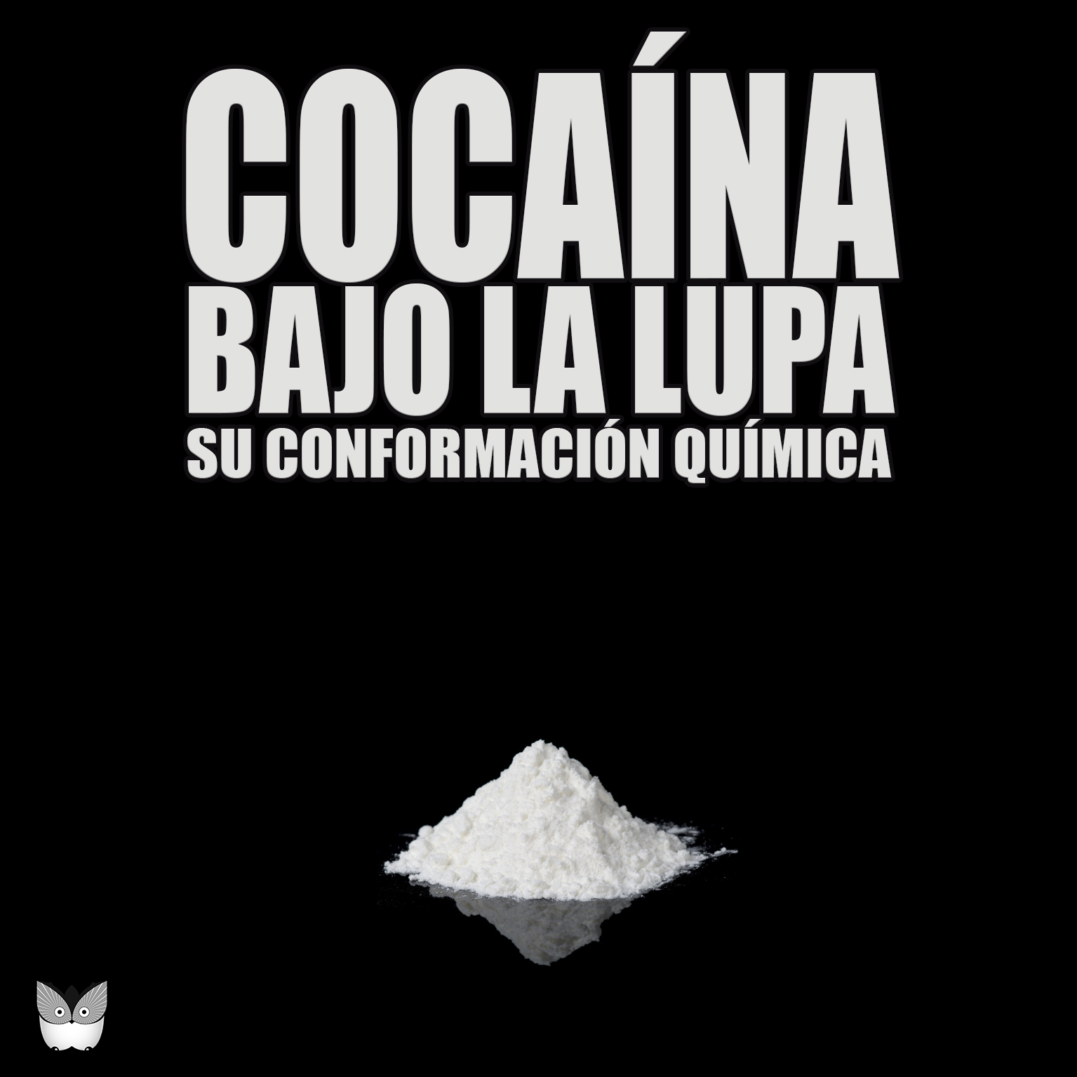 COCA&Iacute;NA BAJO LA LUPA - SU CONFORMACI&Oacute;N QU&Iacute;MICA