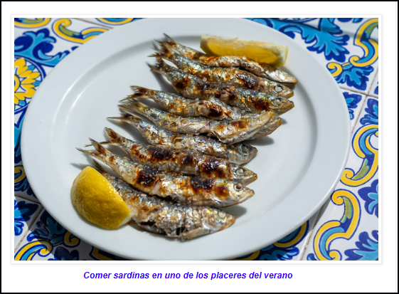  Comer sardinas, adem&aacute;s de un gran placer, un remedio para algunos de nuestros problemas de salud