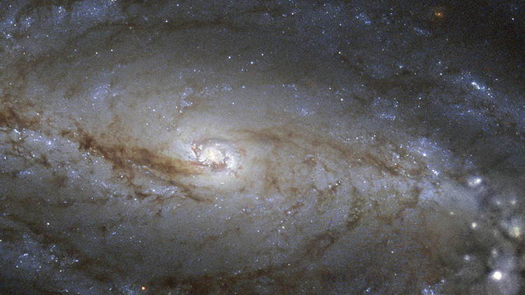 &iquest;Qu&eacute; es esa megastructura orbitando la estrella a 1.500 a&ntilde;os luz de distancia?