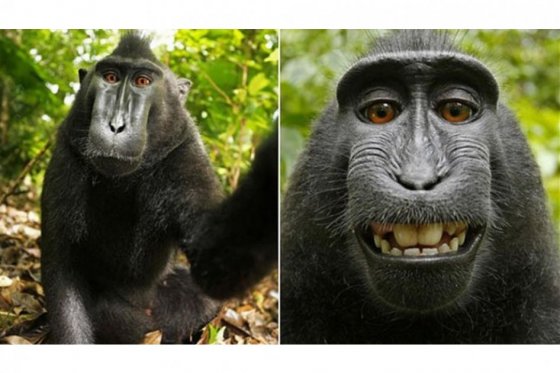 Probablemente la selfie mas pol&eacute;mica de la historia