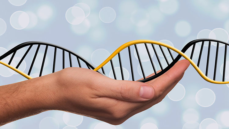 China estrenar&aacute; la manipulaci&oacute;n gen&eacute;tica en humanos para combatir el c&aacute;ncer de pulm&oacute;n: