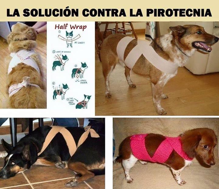 La soluci&oacute;n contra la pirotecnia