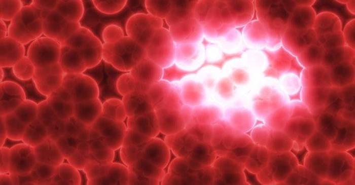 La ra&iacute;z que causa el c&aacute;ncer: &iquest;Por qu&eacute; se ha mantenido en secreto?