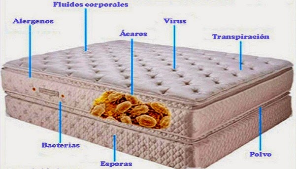 Sorprendente pero cierto: no debes arreglar tu cama despu&eacute;s de levantarte