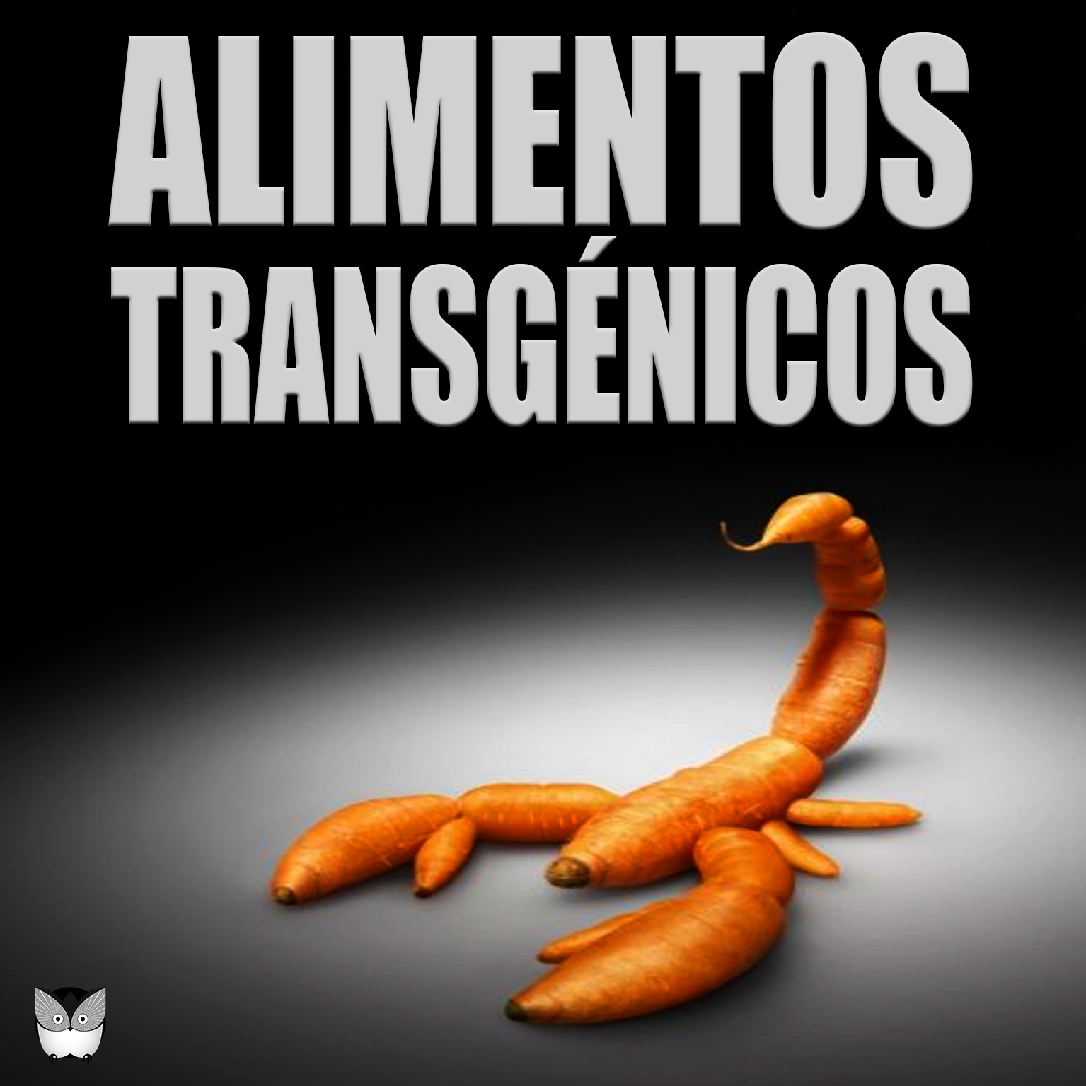 TRANSG&Eacute;NICOS (GMO) &iquest;QU&Eacute; SON?
