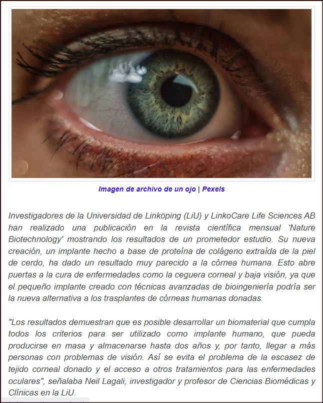  Gran noticia: Una cornea bioartificial recupera la vista de una veintena de invidentes