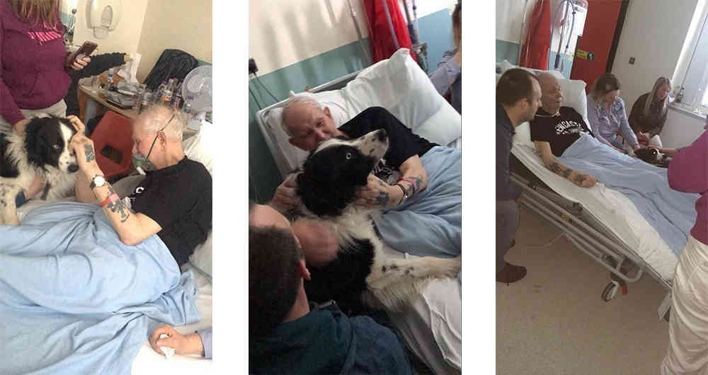 As&iacute; fue como este hombre se despidi&oacute; tiernamente de su mascota antes de morir