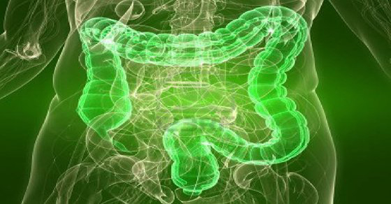 Los mejores alimentos para la limpieza de colon