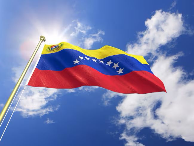 Violaciones a los Derechos Humanos y la Democracia en Venezuela