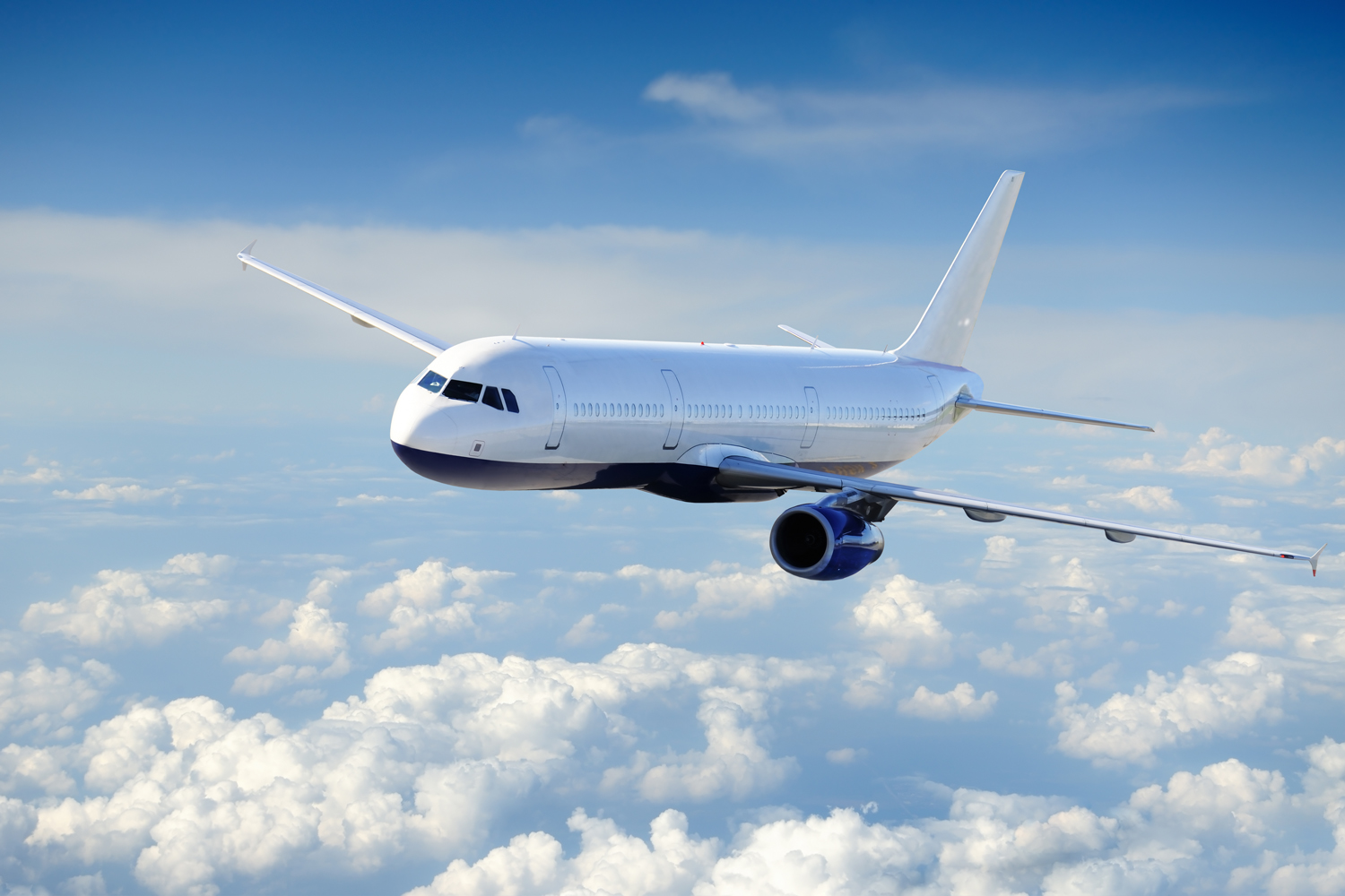 Un hombre intent&oacute; arrojarse de un avi&oacute;n en movimiento abriendo una compuerta