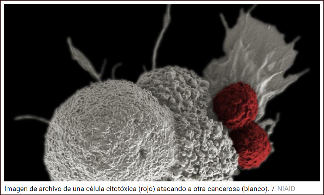  Hasta 50 tipos de c&aacute;ncer podr&iacute;an detectarse con un simple an&aacute;lisis de sangre