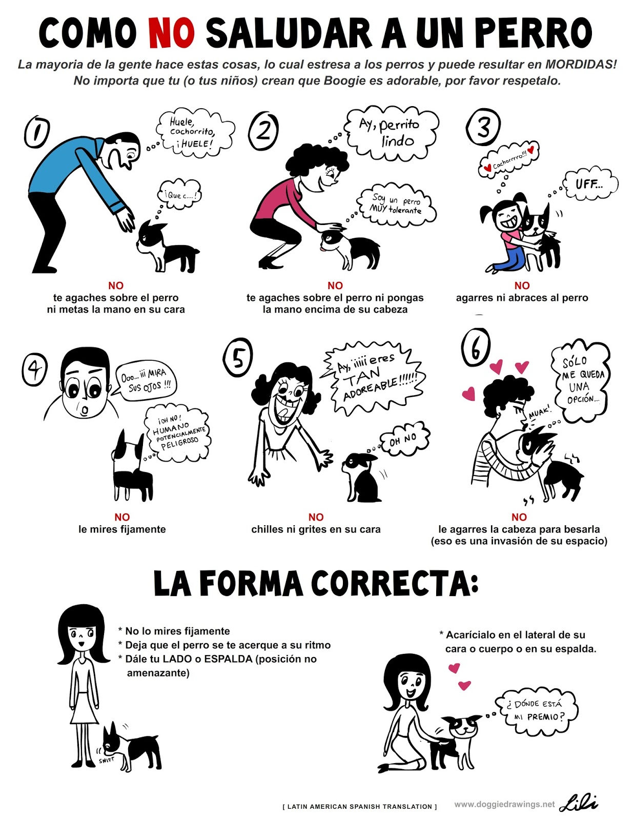 Estos factores te ayudar&aacute;n a comprender mejor a tu perro