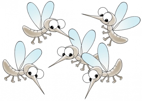 &iquest;Por qu&eacute; no borramos a los mosquitos de la faz de la Tierra?