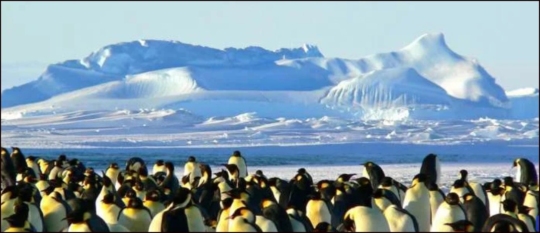 La Ant&aacute;rtida sufre cambios abruptos que afectar&aacute;n al mundo entero.
