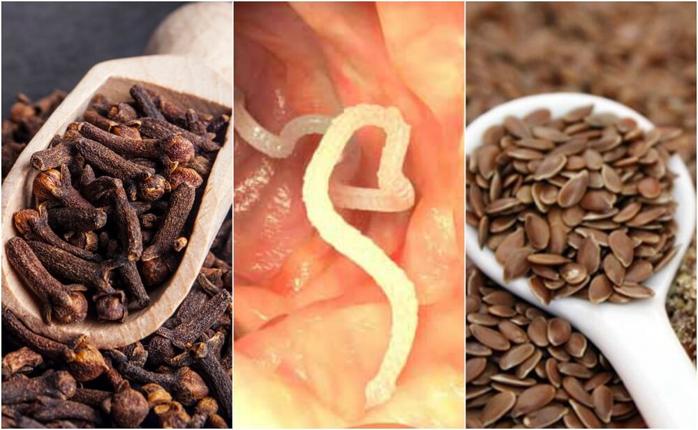 Elimina los par&aacute;sitos de tu cuerpo consumiendo esta preparaci&oacute;n con linaza y clavo seco