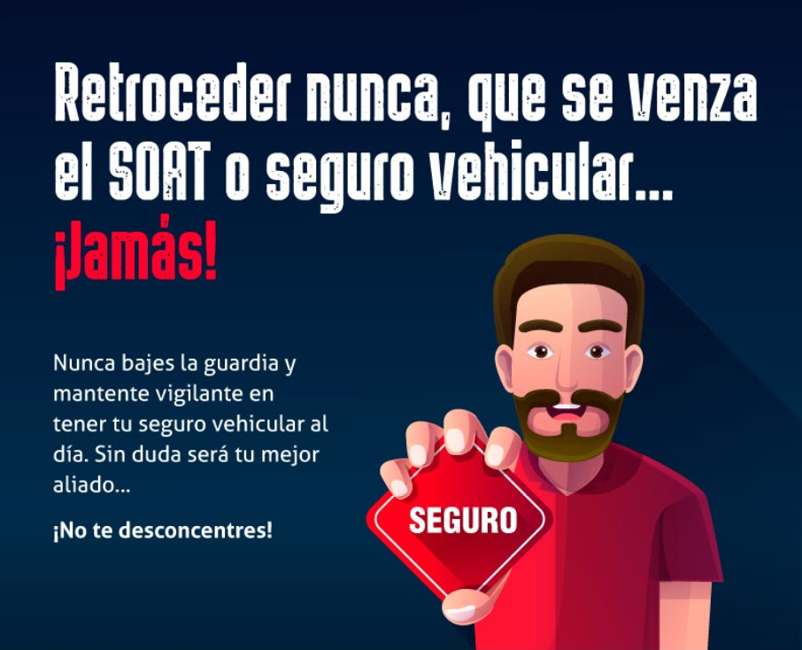 Conoce lo vital que es tener tu seguro vehicular
