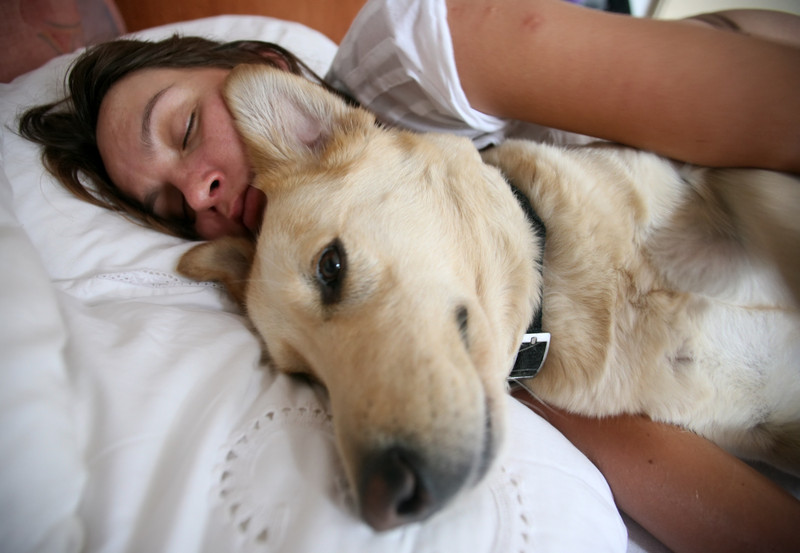 More Americans Kept Awake by Fido, Fluffy