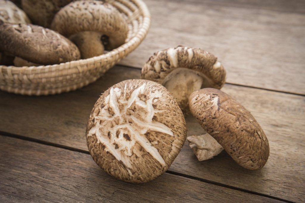 Cu&aacute;les son los beneficios positivos del consumo de champi&ntilde;ones
