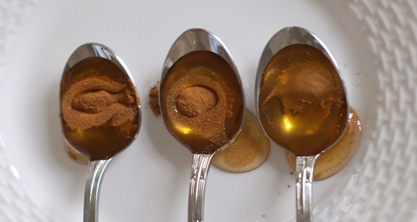 Esto reduce el colesterol, mejora el sistema inmunol&oacute;gico y previene ataques