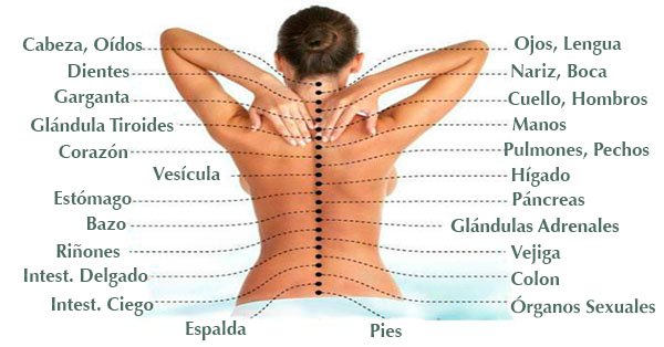 La causa del dolor: c&oacute;mo la columna est&aacute; conectada con los &oacute;rganos