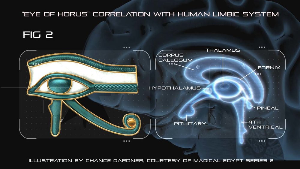 A NEW ROSETTA STONE OF CONSCIOUSNESS FROM ANCIENT EGYPT?