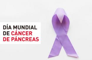D&iacute;a mundial de eliminaci&oacute;n de la violencia contra la mujer