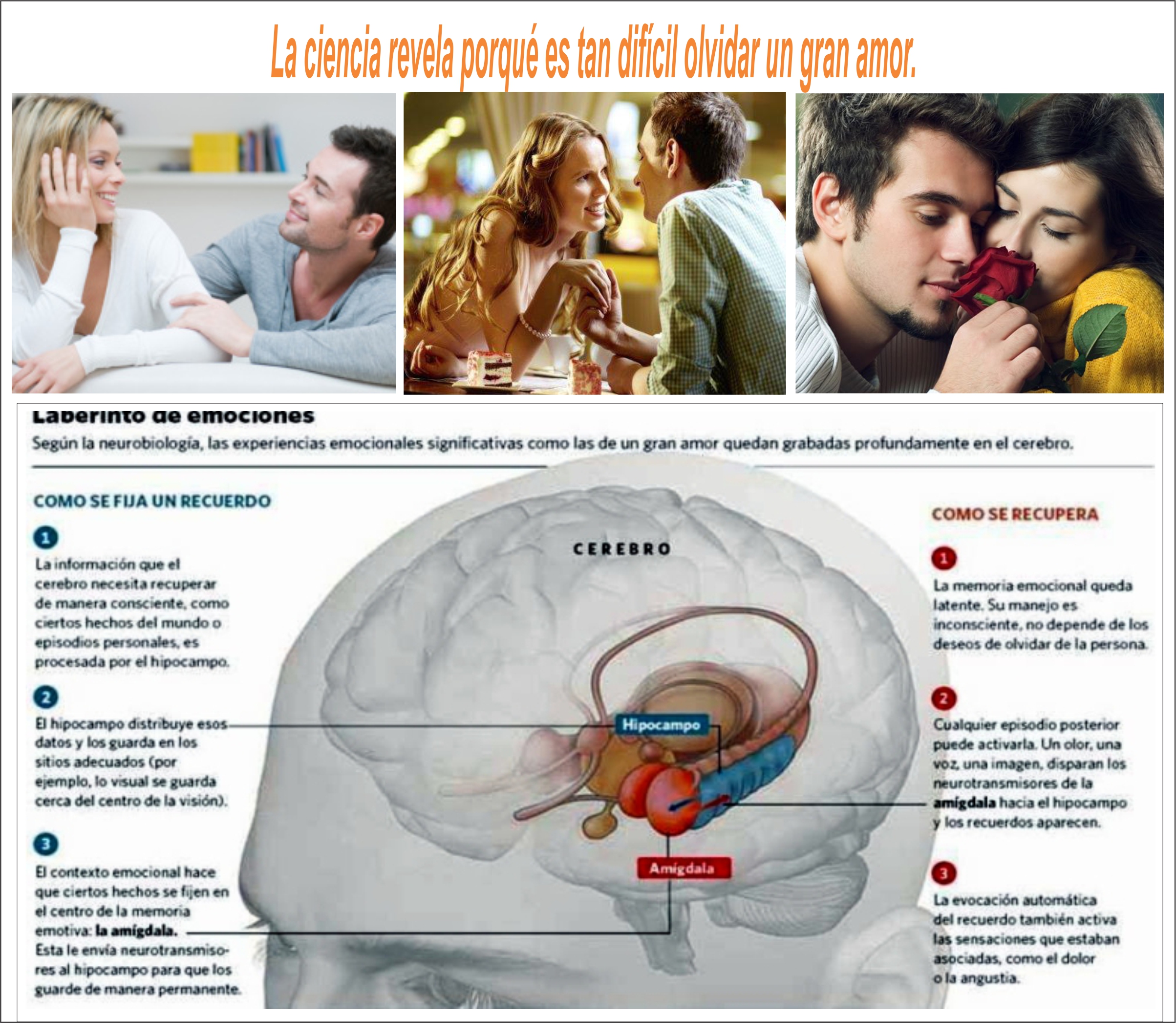  La ciencia revela por qu&eacute; es tan dif&iacute;cil olvidar un gran amor