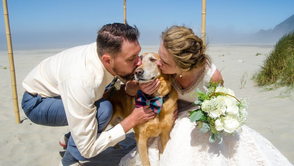 Un perro con c&aacute;ncer terminal lleva el anillo en una boda y ve el mar por primera vez