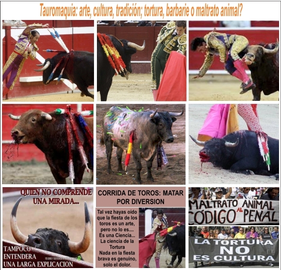 Corte Constitucional prohibir&iacute;a corridas de toros en Colombia