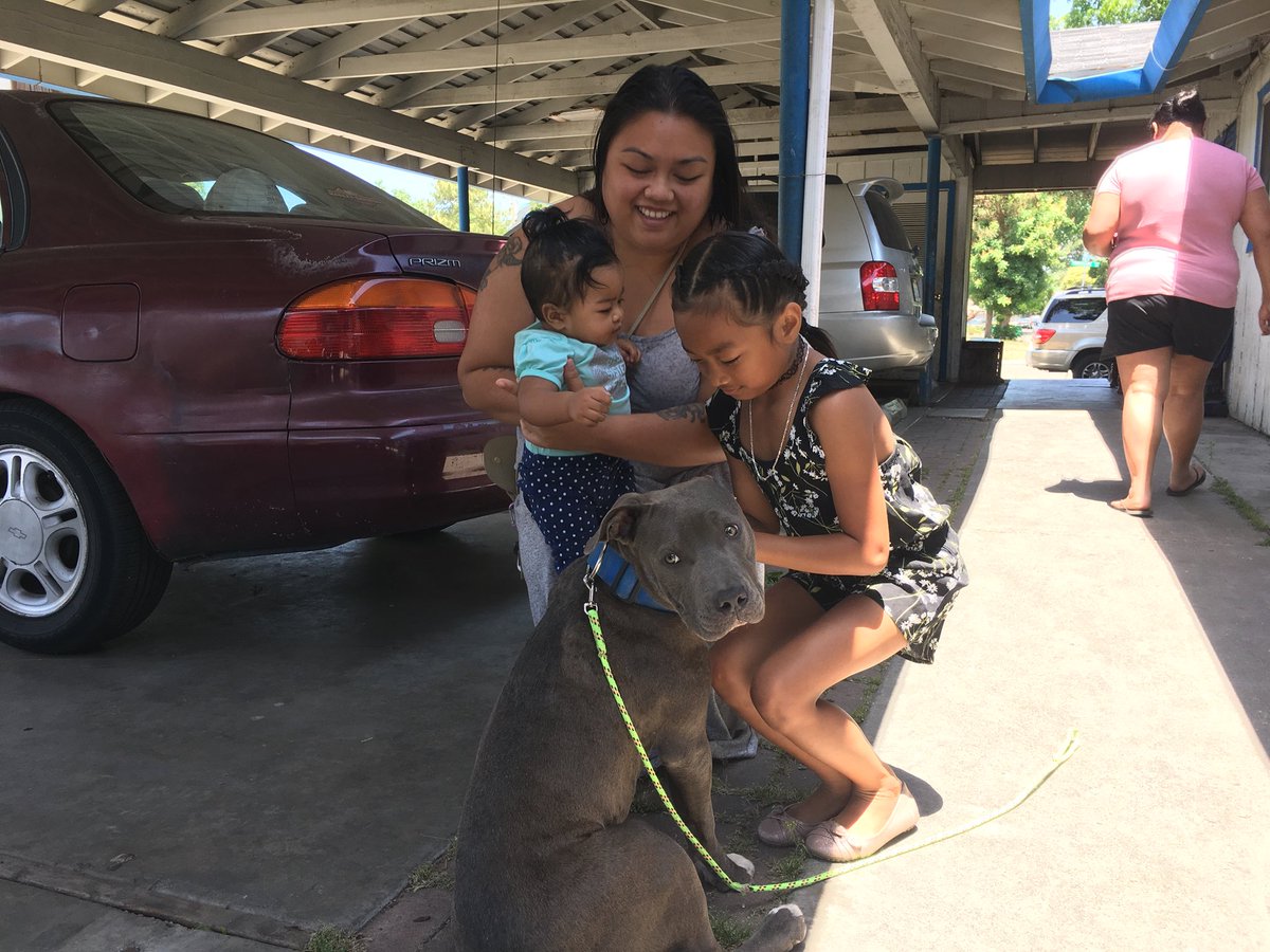 Perro saca a una ni&ntilde;a de siete meses de un incendio por el pa&ntilde;al