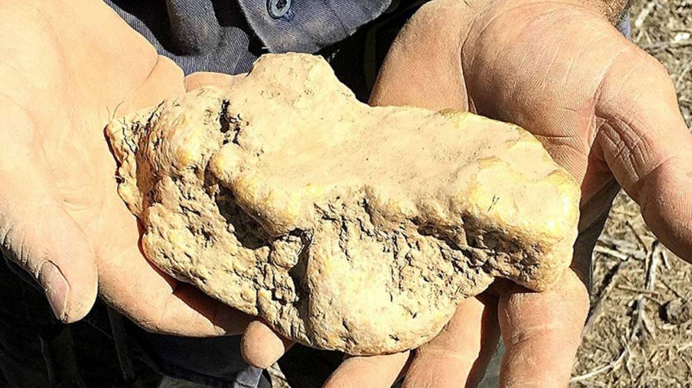 Un jubilado encuentra una roca con m&aacute;s de 2 kilos de oro en Australia