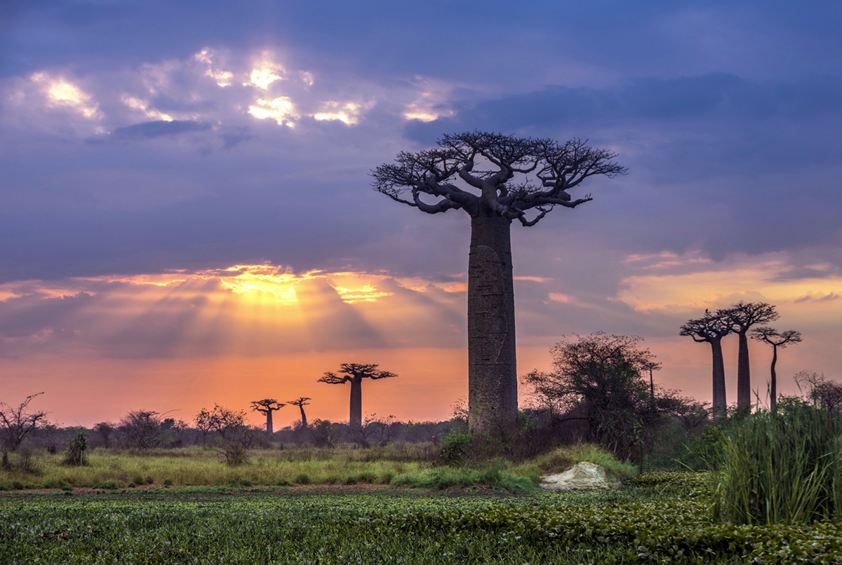Estos lugares tur&iacute;sticos y naturales est&aacute;n pr&oacute;ximos a desaparecer
