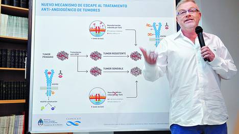 Hallan un mecanismo clave en la lucha contra el c&aacute;ncer