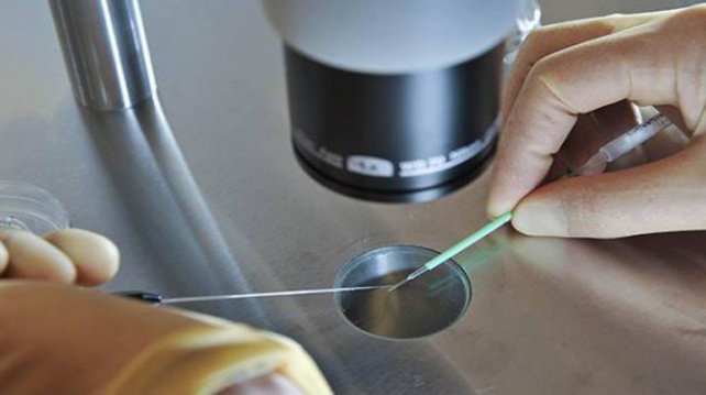 Modificaron embriones y los hicieron inmunes al VIH