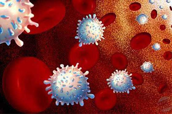 Una cura contra el c&aacute;ncer, &iquest;lo ocultar&iacute;an? 