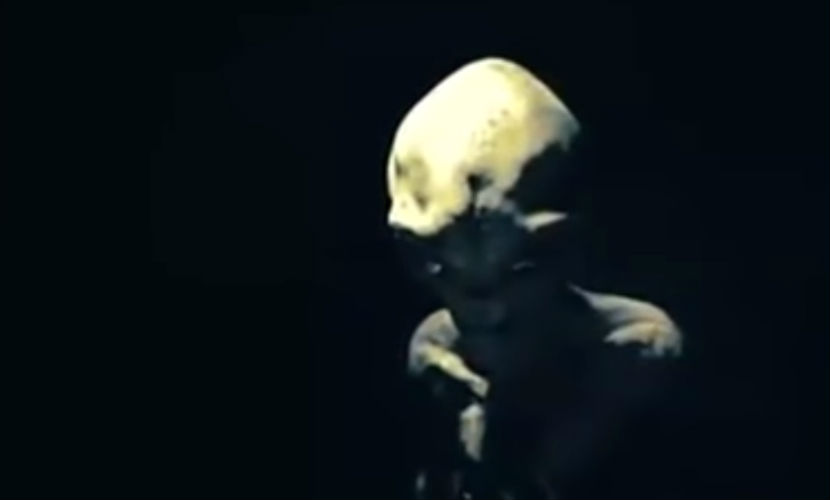 La aterradora    entrevista a un alien    se hace viral y perturba a Internet [VIDEO]: