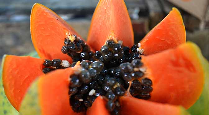 Una fruta muy especial.- La papaya, &iexcl;tal cual te lo cuento!